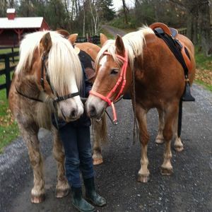 Meet your Posher, Kerin